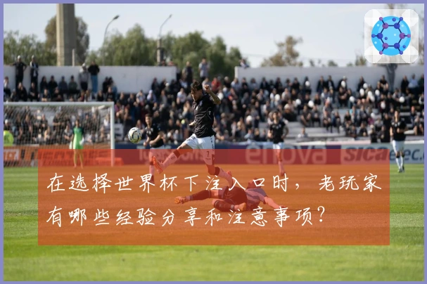 在选择世界杯下注入口时，老玩家有哪些经验分享和注意事项？