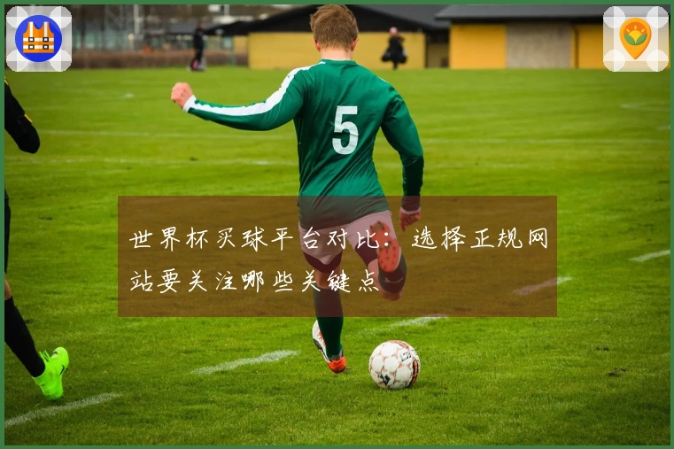 世界杯买球平台对比：选择正规网站要关注哪些关键点