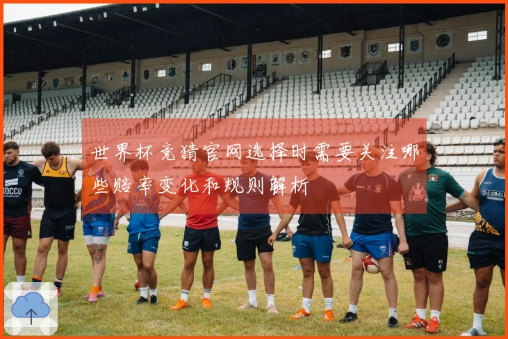世界杯竞猜官网选择时需要关注哪些赔率变化和规则解析