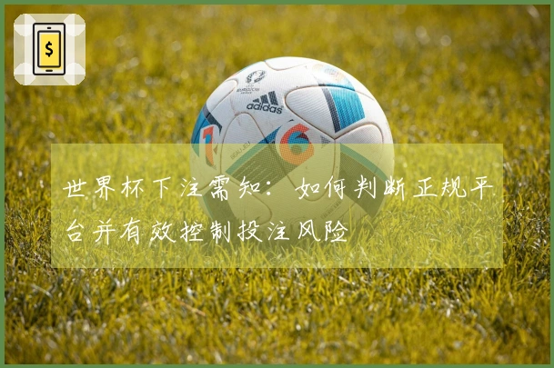 世界杯下注需知：如何判断正规平台并有效控制投注风险