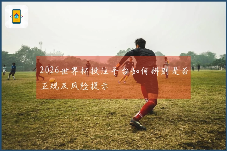 2026世界杯投注平台如何辨别是否正规及风险提示