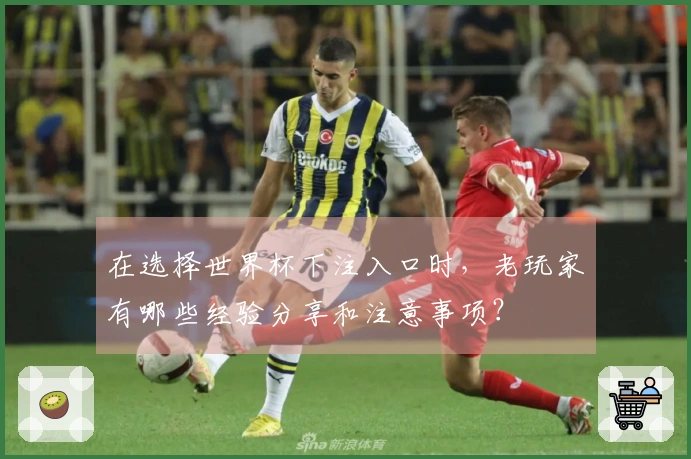 在选择世界杯下注入口时，老玩家有哪些经验分享和注意事项？