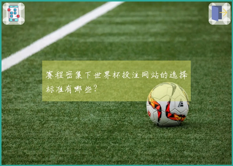 赛程密集下世界杯投注网站的选择标准有哪些？