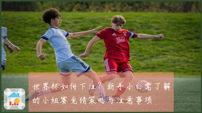 世界杯如何下注？新手小白需了解的小组赛竞猜策略与注意事项