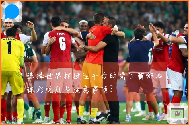 选择世界杯投注平台时需了解哪些体彩规则与注意事项？