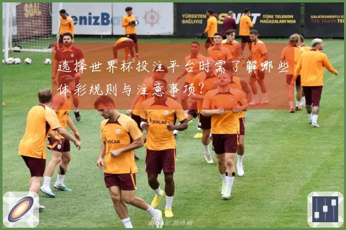 选择世界杯投注平台时需了解哪些体彩规则与注意事项？