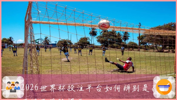 2026世界杯投注平台如何辨别是否正规及风险提示